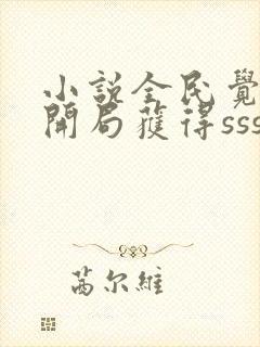 小说全民觉醒:开局获得sss级天赋在线阅读