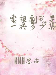 电视剧我是刑警一共多少集