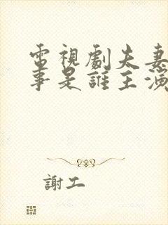 电视剧夫妻那些事是谁主演的一