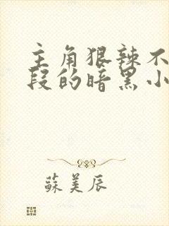 主角狠辣不择手段的暗黑小说