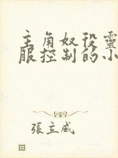 主角奴役灵魂收服控制的小说