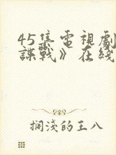 45集电视剧《谍战》在线观看