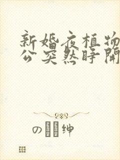 新婚夜植物人老公突然睁开眼全部章节