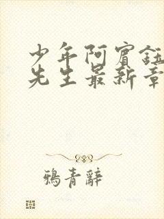 少年阿宾钰慧胡先生最新章节更新内