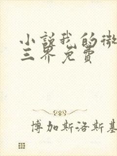 小说我的微信连三界免费