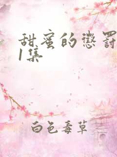 甜蜜的惩罚第11集