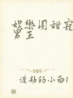 娱乐圈甜宠文双男主