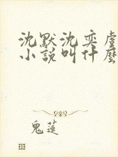 沈默沈奕虞念念小说叫什么名字