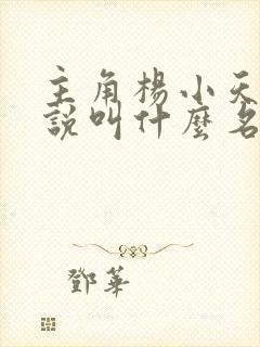 主角杨小天的小说叫什么名字