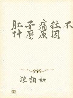 肚子痛拉不出是什么原因