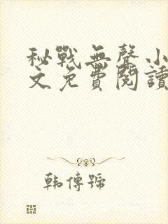 秘战无声小说全文免费阅读