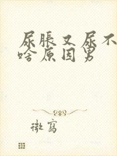 尿胀又尿不出来啥原因男