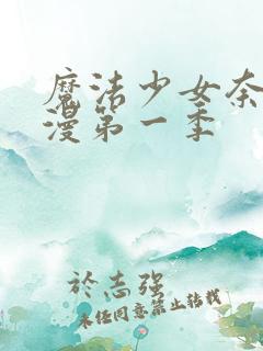 魔法少女奈叶动漫第一季