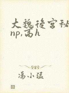 大魏后宫秘史(np,高h