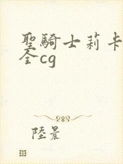 圣骑士莉卡物语全cg