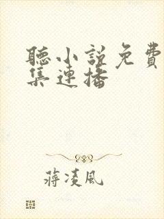 听小说免费听全集连播