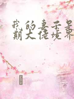 我的妻子是大乘期大佬境界