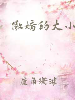 傲娇的大小姐