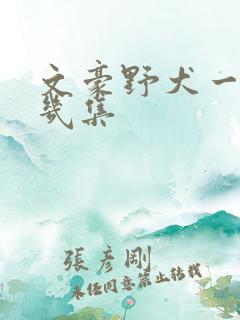 文豪野犬一共有几集