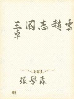 三国志赵云传安卓