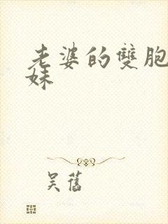 老婆的双胞胎妹妹