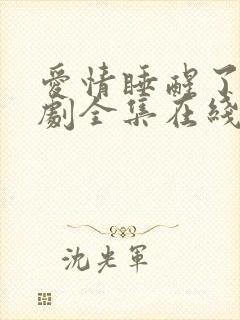 爱情睡醒了电视剧全集在线观