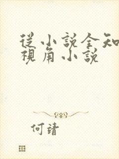 从小说全知读者视角小说