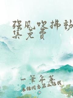 强风吹拂动漫全集免费