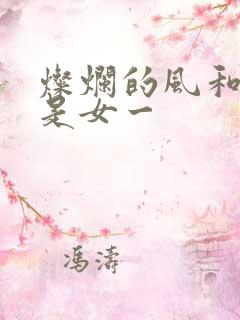 灿烂的风和海谁是女一