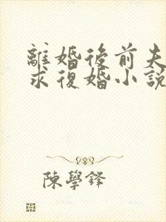 离婚后前夫哭着求复婚小说