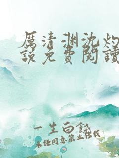 厉清渊沈灼华小说免费阅读最新章节