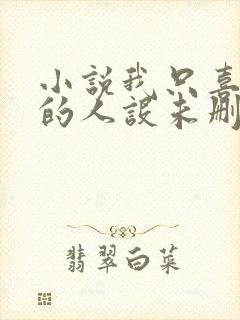 小说我只喜欢你的人设未删减