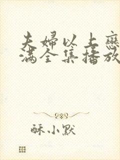 夫妇以上恋人未满全集播放