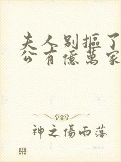 夫人别抠了你老公有亿万家产短剧