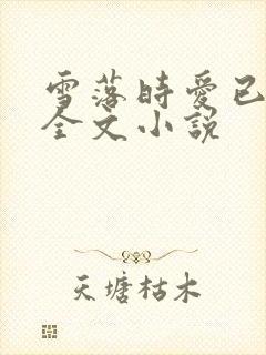 雪落时爱已落幕全文小说