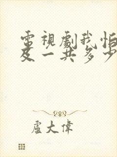 电视剧我怕来不及一共多少集