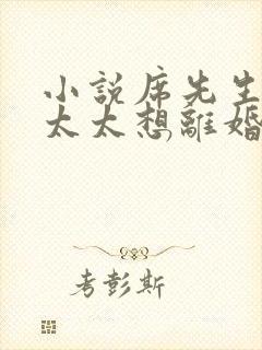 小说席先生,你太太想离婚