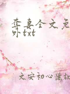 夺妻全文免费番外txt