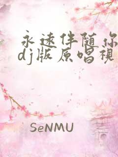 永远伴随你一生dj版原唱视频播放