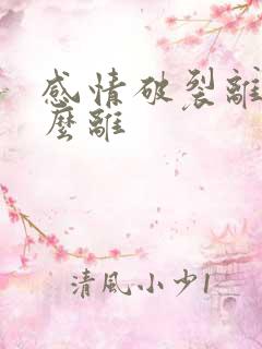 感情破裂离婚怎么离