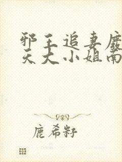 邪王追妻废材逆天大小姐南宫流云