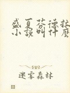 盛夏芬德拉原著小说叫什么