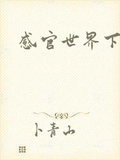 感官世界下载