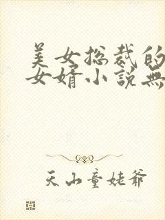 美女总裁的上门女婿小说无弹窗