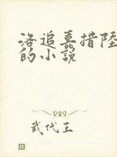洛追嘉措陆芊芊的小说