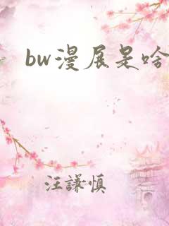 bw漫展是啥