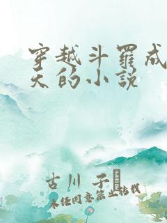 穿越斗罗成为帝天的小说