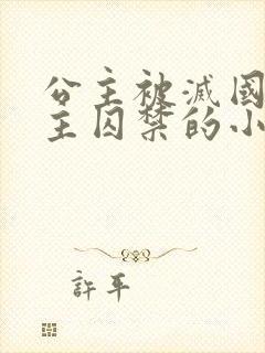 公主被灭国被男主囚禁的小说