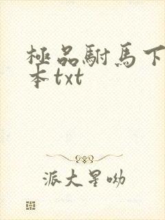 极品驸马下载全本txt