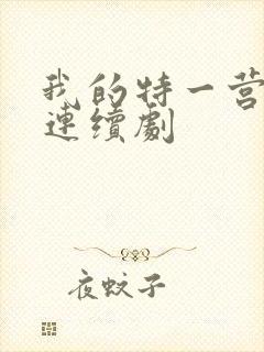 我的特一营电视连续剧